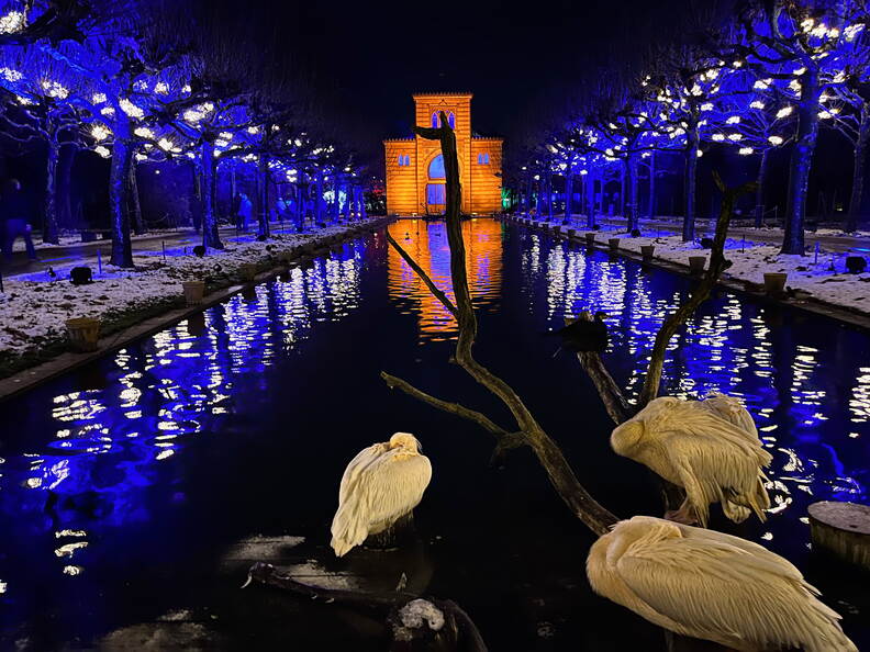 22-12-19 20-19-08 3688